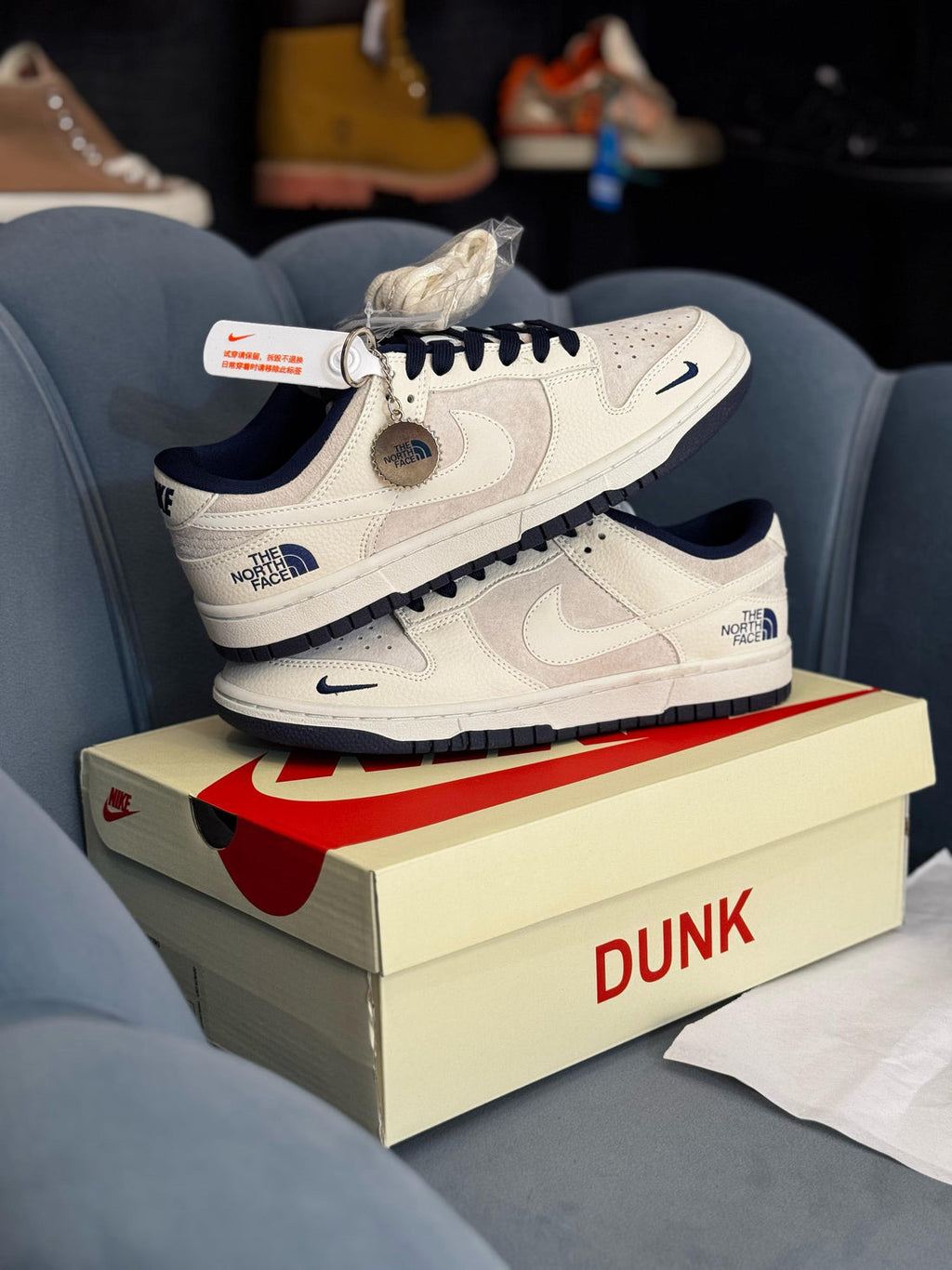 Nike sb dunk x the north face