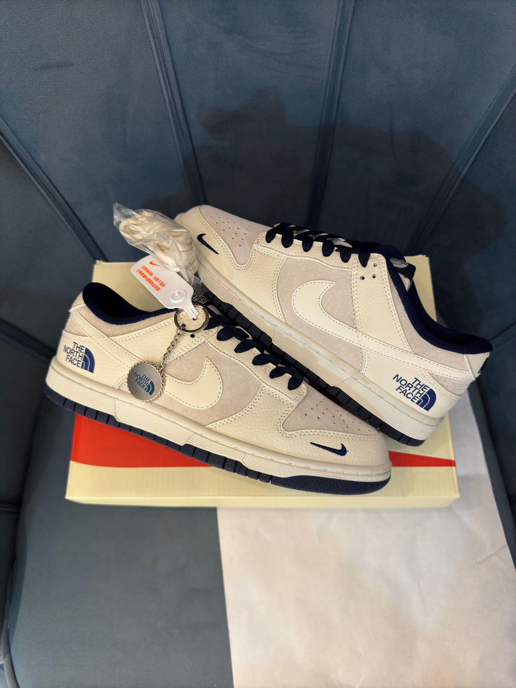 Nike sb dunk x the north face